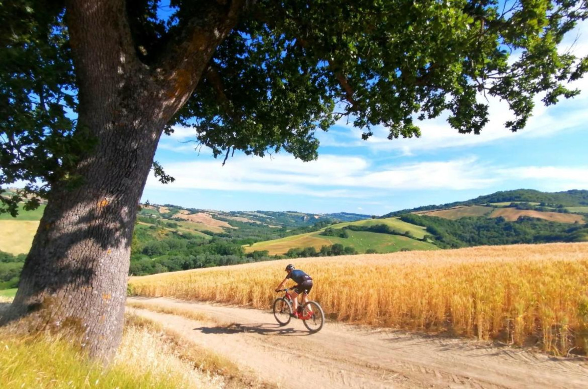 hotelglobus-cattolica_ciclisti