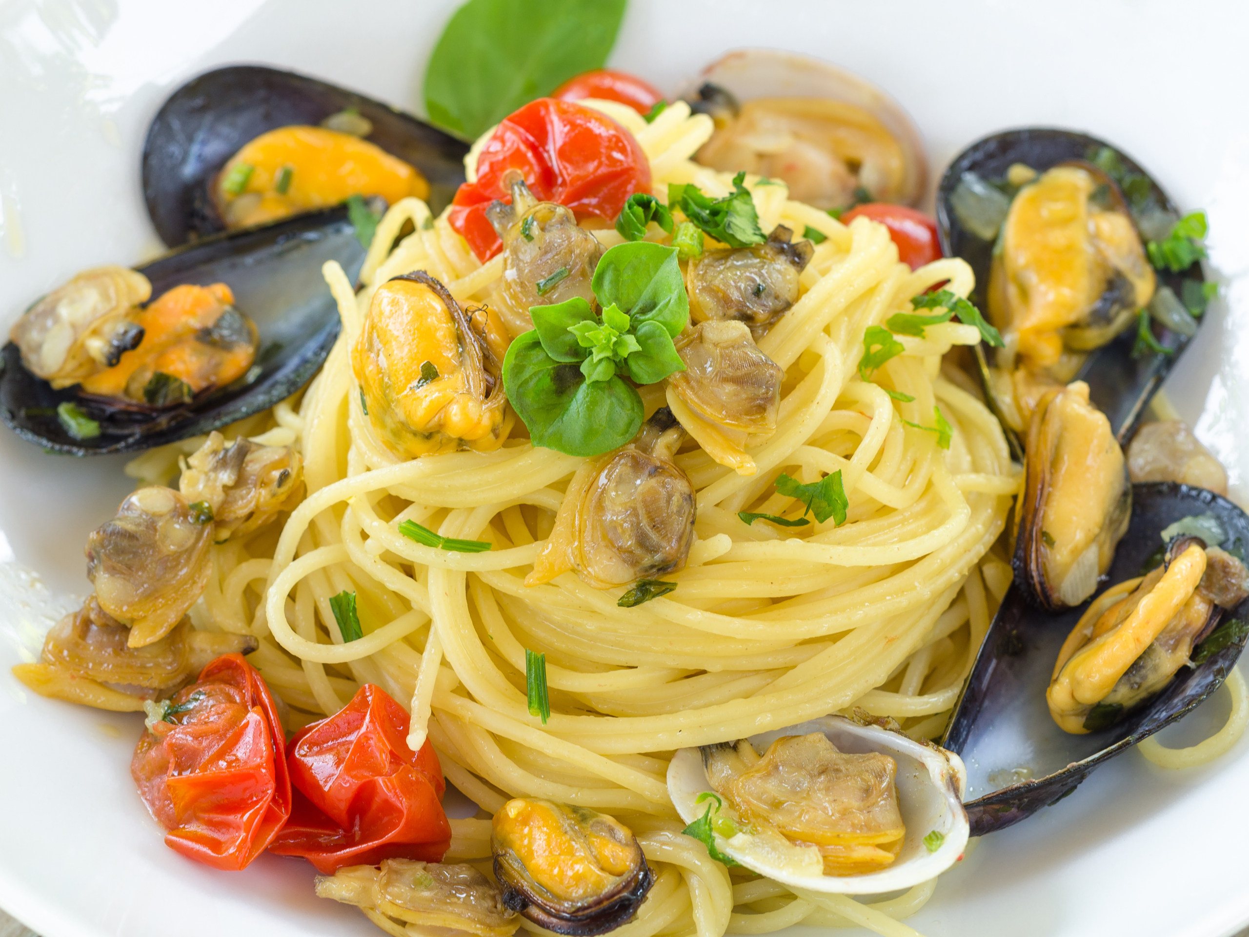 hotelglobus-cattolica_ristorante